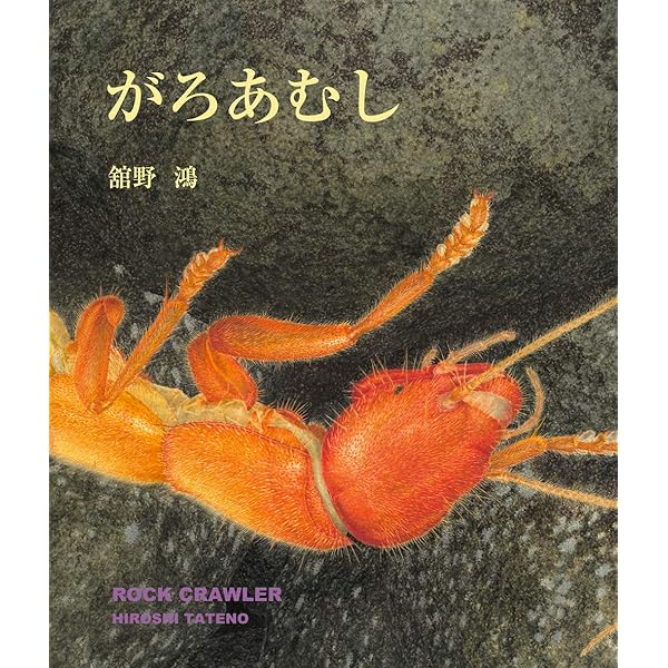 ソロ沼のものがたり | 舘野 鴻 |本 | 通販 | Amazon